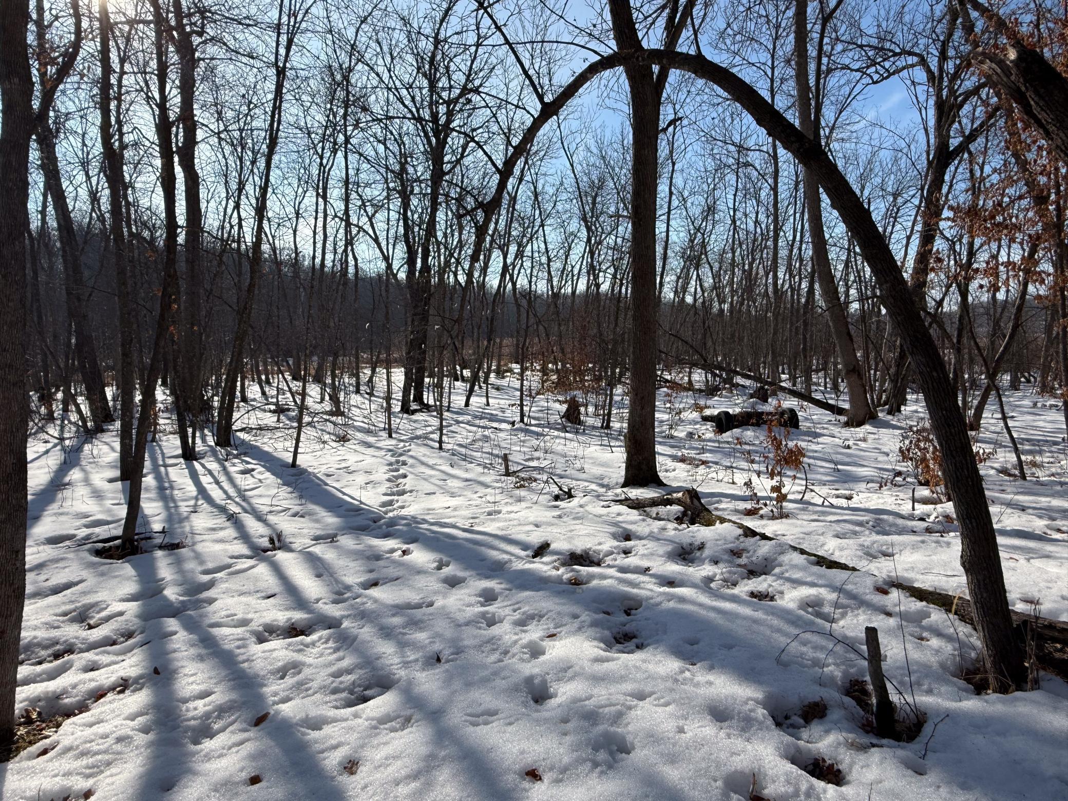 23847 Arcade Loop Menahga, MN 56464 - Photo 38 of 43