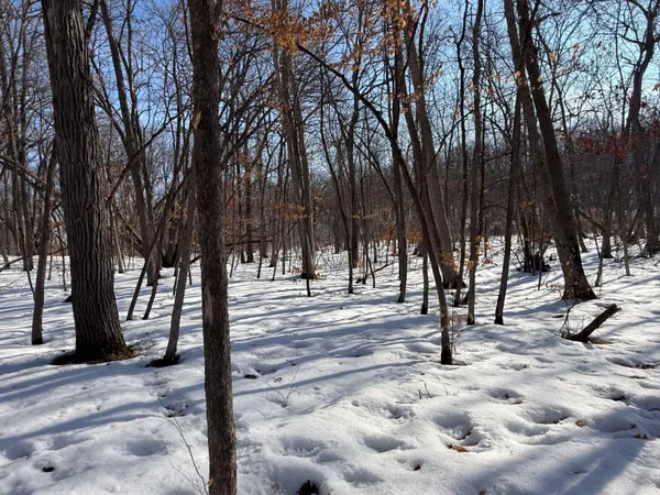 $96,900 | 23847 Arcade Loop, Menahga, MN 56464