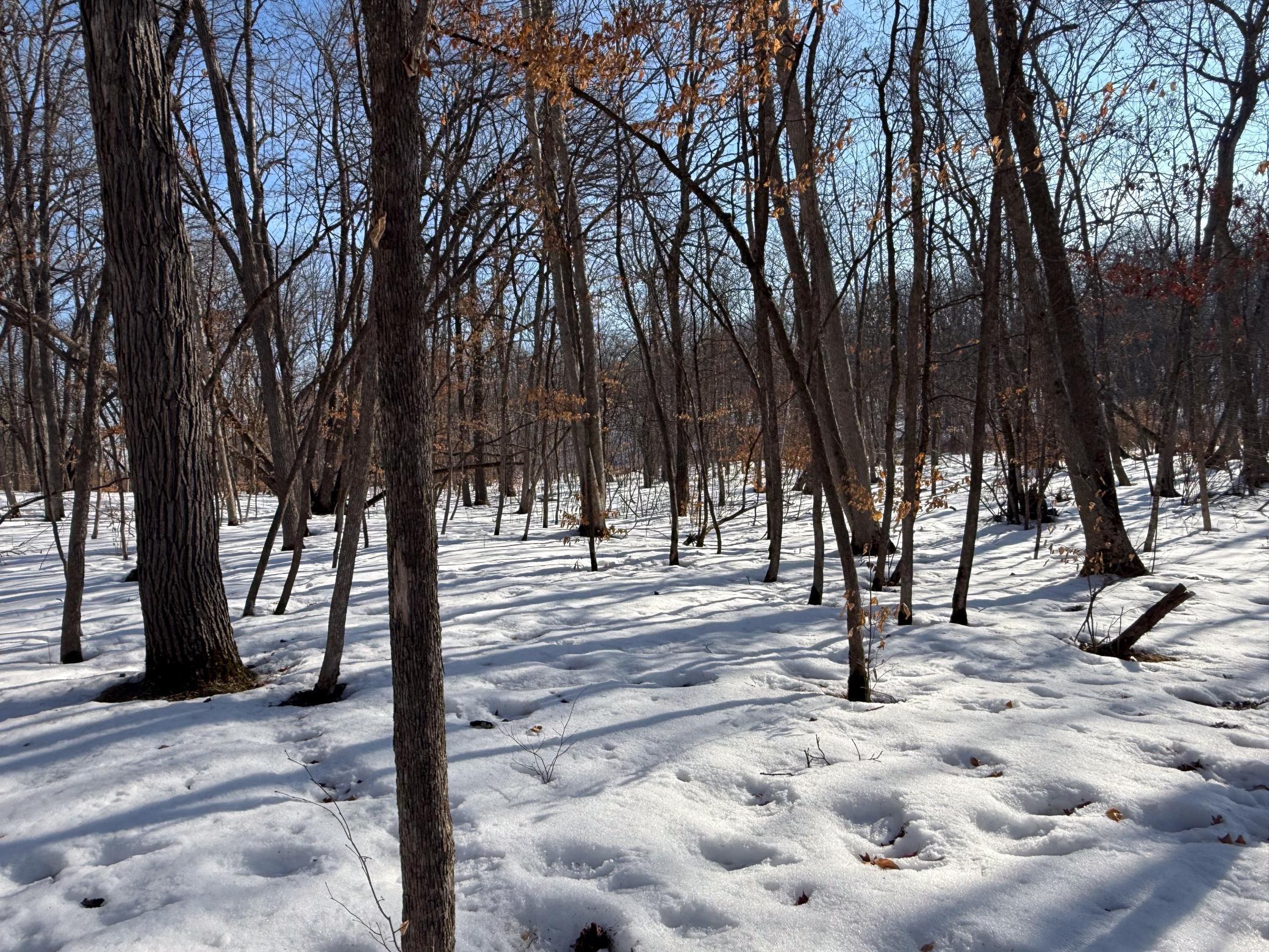 23847 Arcade Loop Menahga, MN 56464 - Photo 39 of 43