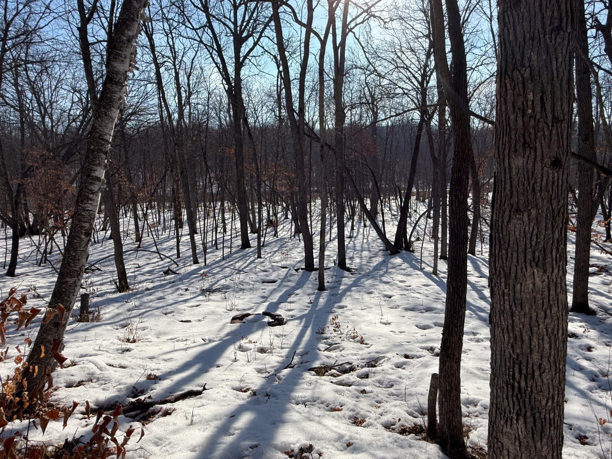 23847 Arcade Loop Menahga, MN 56464 - Photo 40 of 43