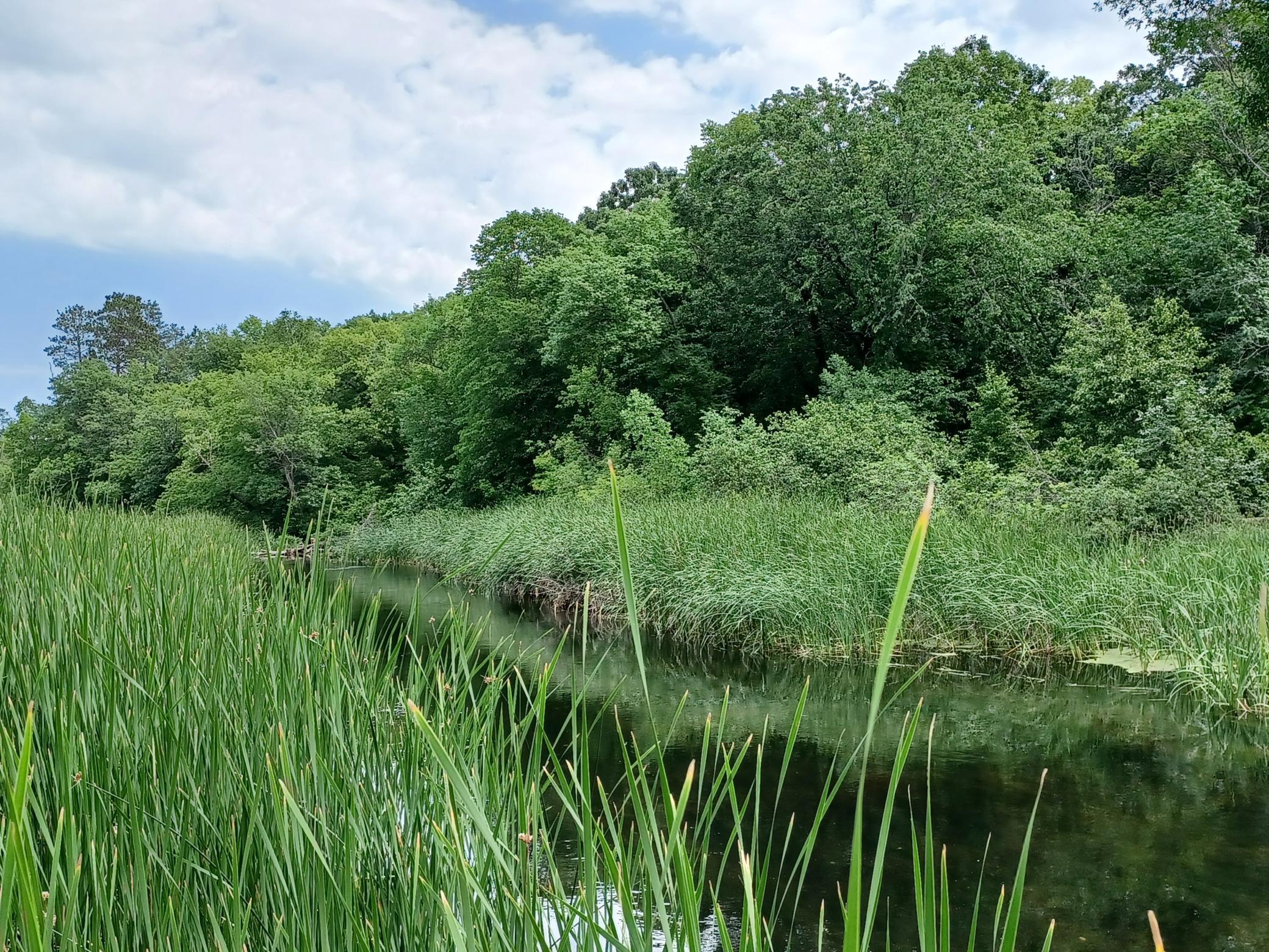 23847 Arcade Loop Menahga, MN 56464 - Photo 4 of 43