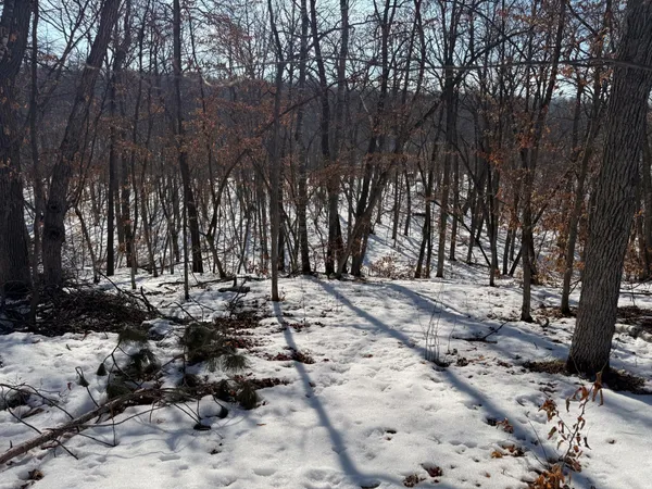 $96,900 | 23847 Arcade Loop, Menahga, MN 56464