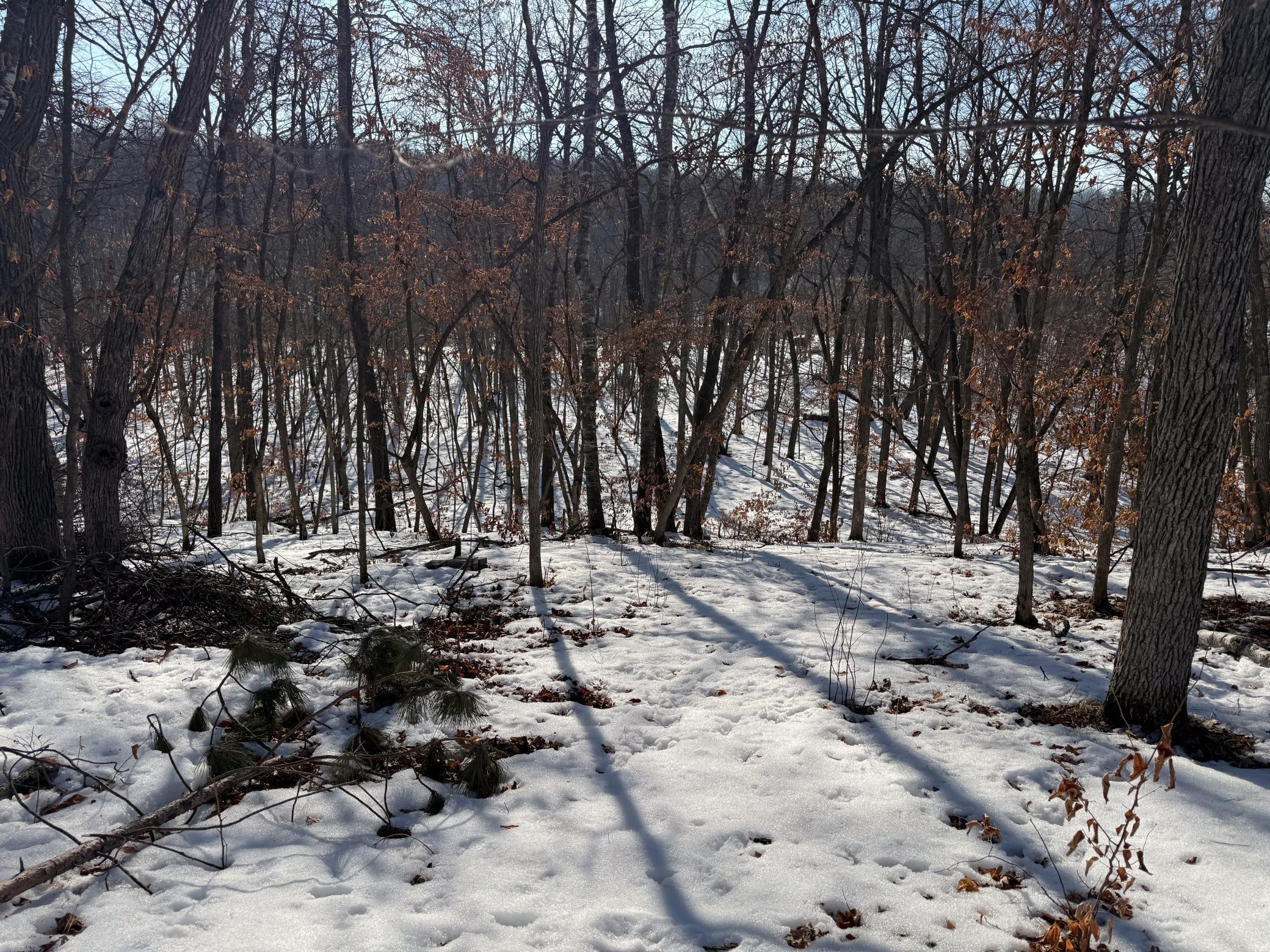 23847 Arcade Loop Menahga, MN 56464 - Photo 42 of 43