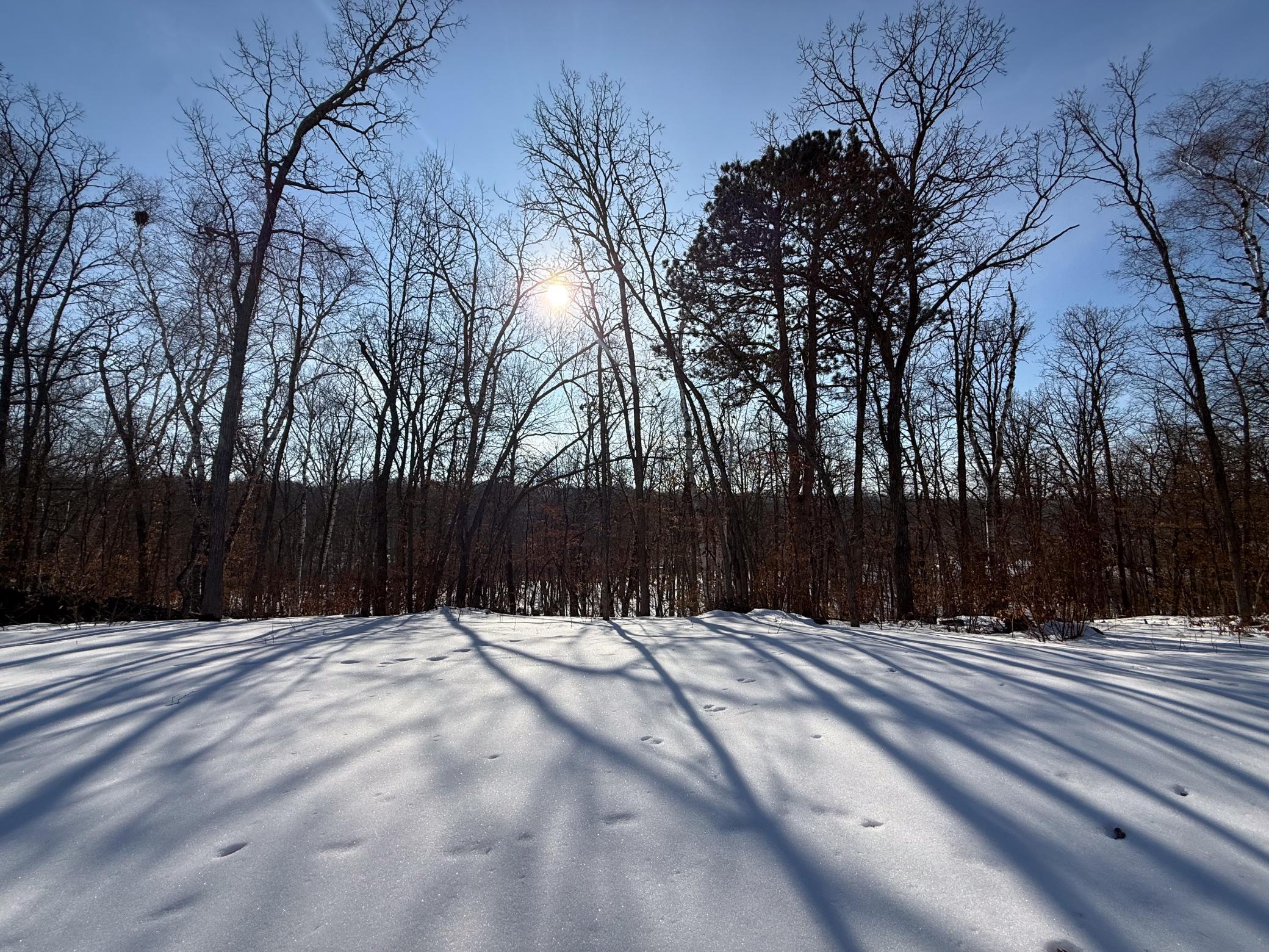 23847 Arcade Loop Menahga, MN 56464 - Photo 43 of 43