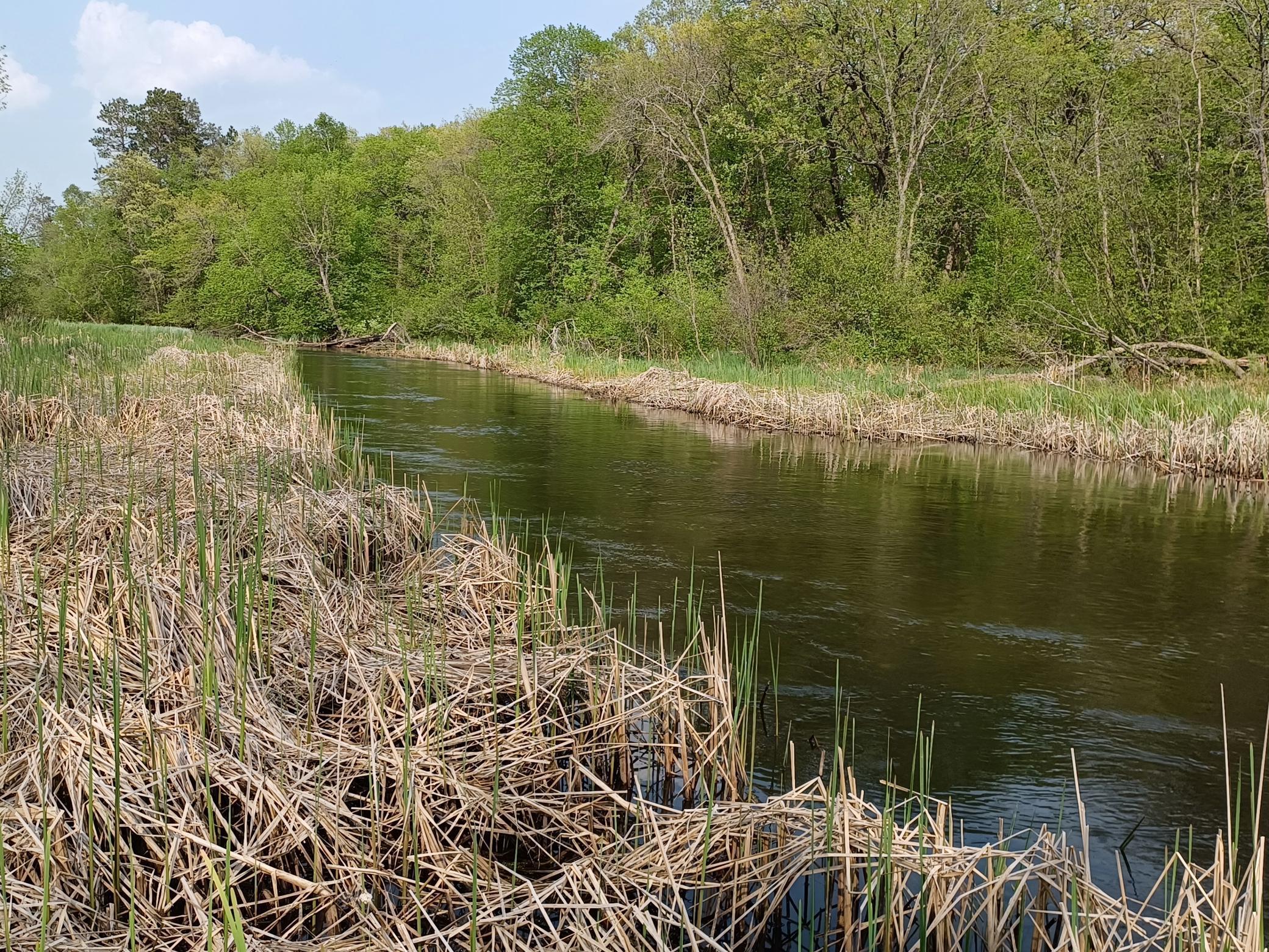 23847 Arcade Loop Menahga, MN 56464 - Photo 5 of 43