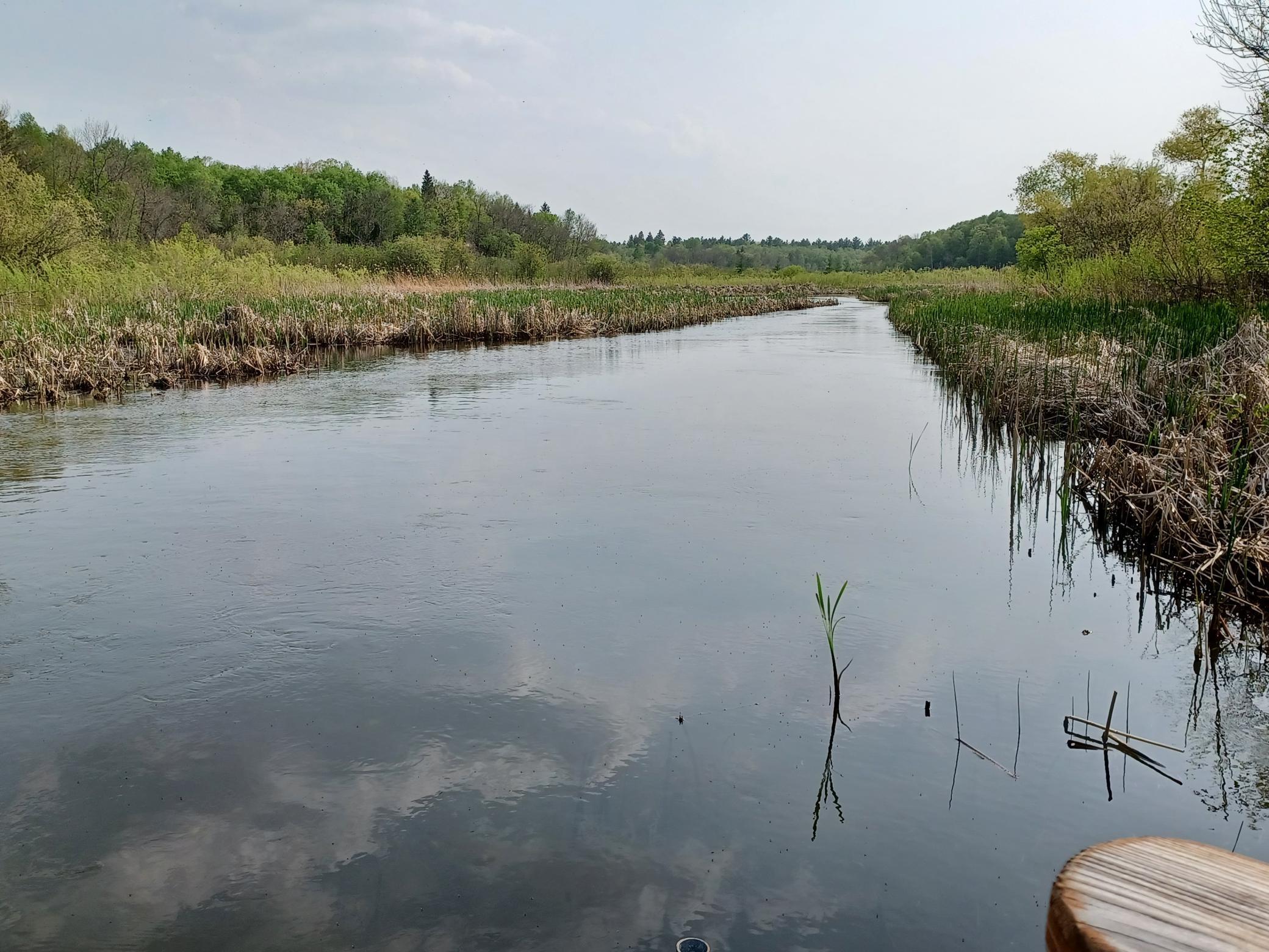 23847 Arcade Loop Menahga, MN 56464 - Photo 6 of 43