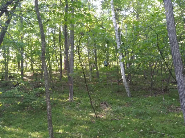$96,900 | 23847 Arcade Loop, Menahga, MN 56464