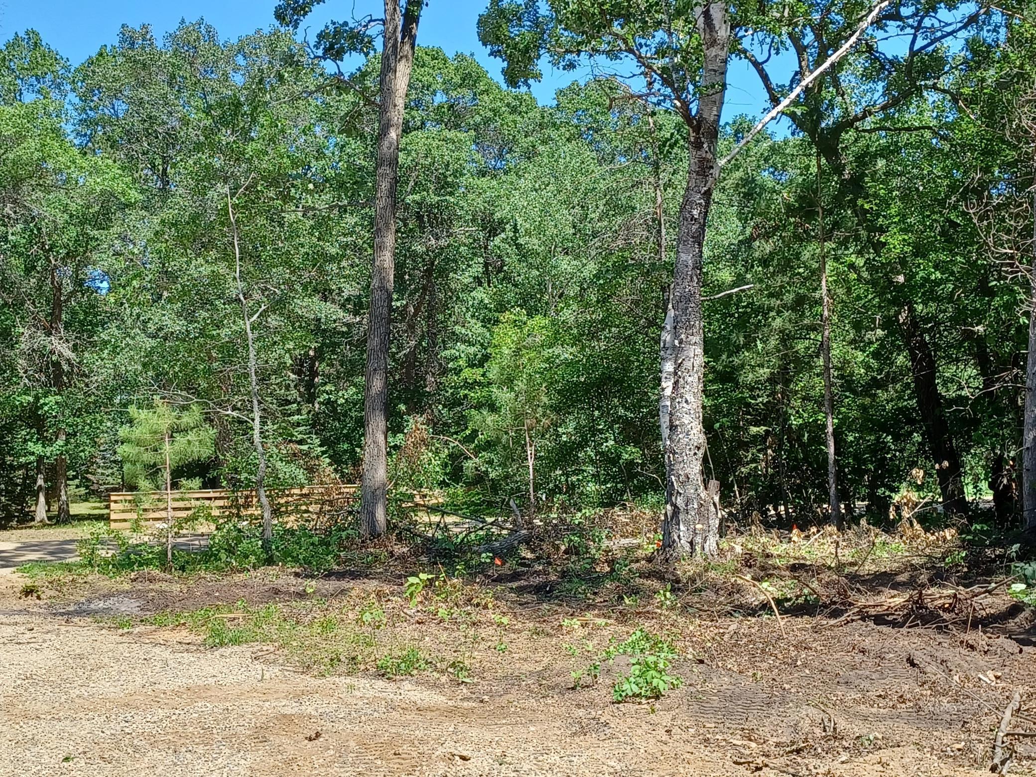 23847 Arcade Loop Menahga, MN 56464 - Photo 8 of 43