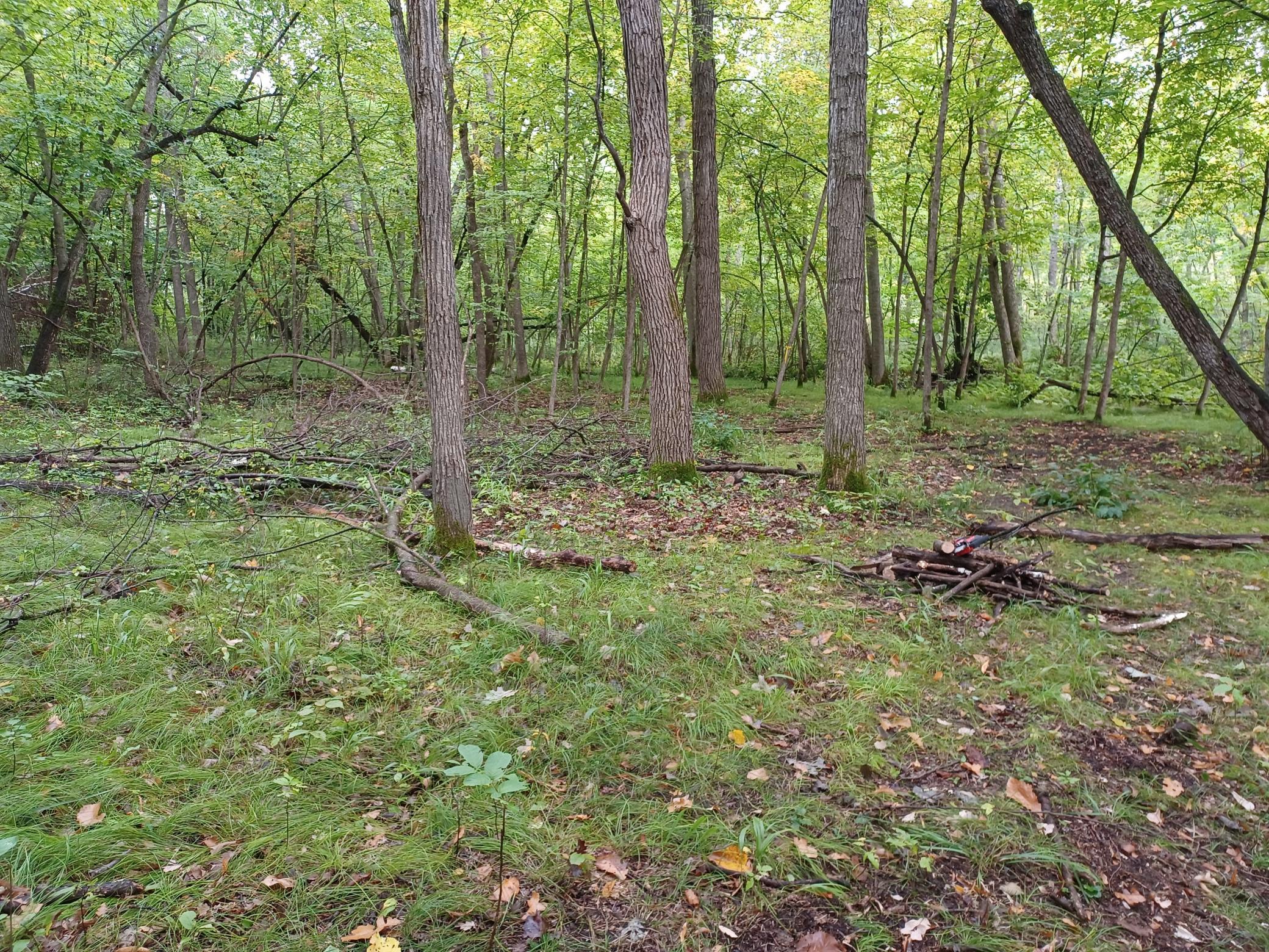 23847 Arcade Loop Menahga, MN 56464 - Photo 9 of 43