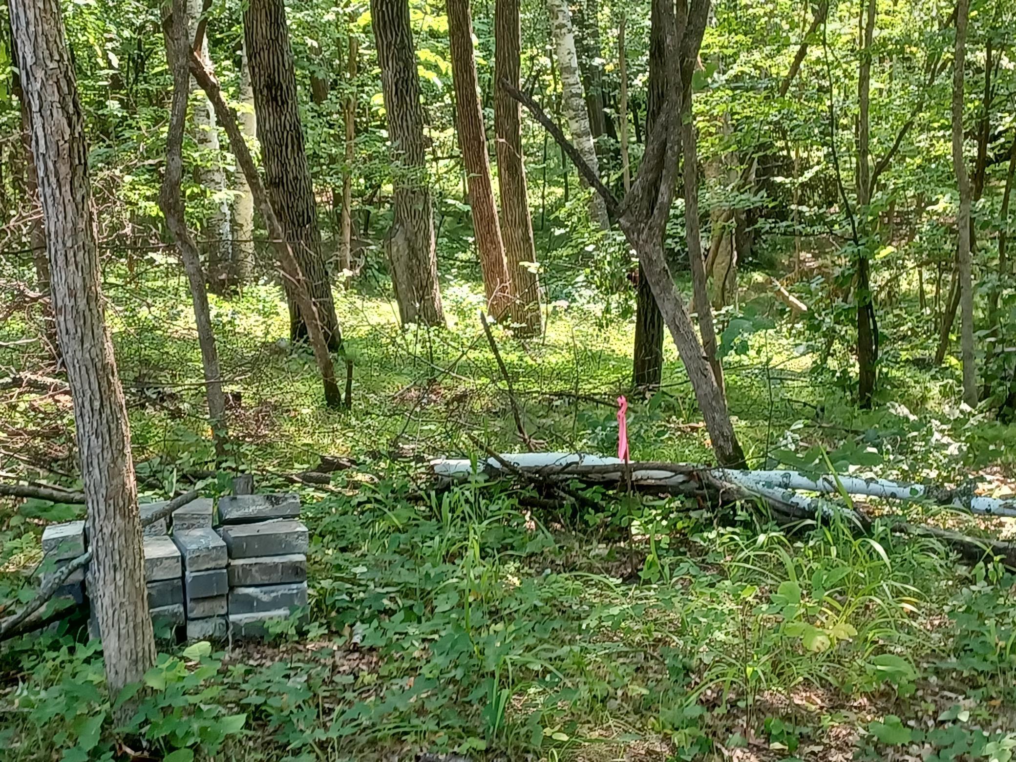 23847 Arcade Loop Menahga, MN 56464 - Photo 10 of 43