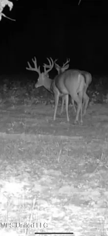 $2,820,000 | 3104 Booger Bottom Creek, West, MS 39192