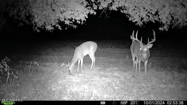 $2,820,000 | 3104 Booger Bottom Creek, West, MS 39192