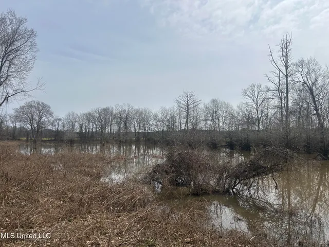 $2,820,000 | 3104 Booger Bottom Creek, West, MS 39192