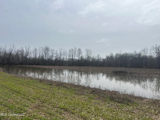$2,820,000 | 3104 Booger Bottom Creek, West, MS 39192