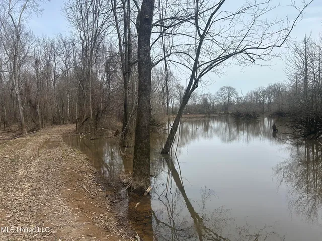 $2,820,000 | 3104 Booger Bottom Creek, West, MS 39192