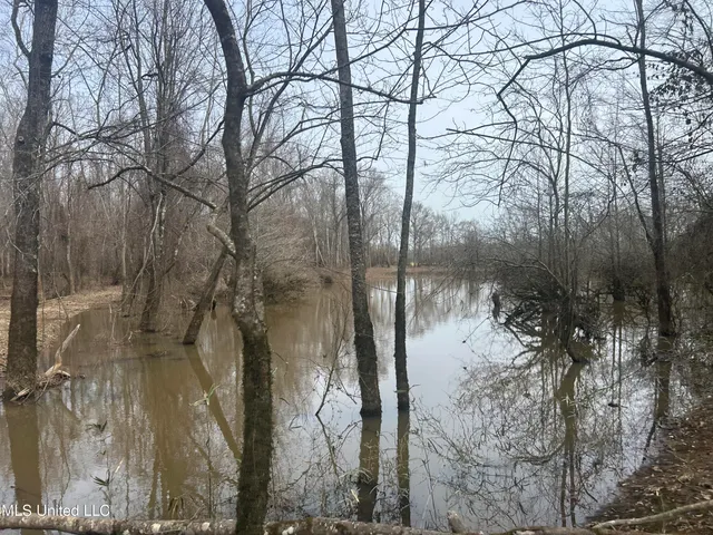 $2,820,000 | 3104 Booger Bottom Creek, West, MS 39192