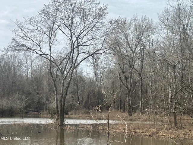 $2,820,000 | 3104 Booger Bottom Creek, West, MS 39192