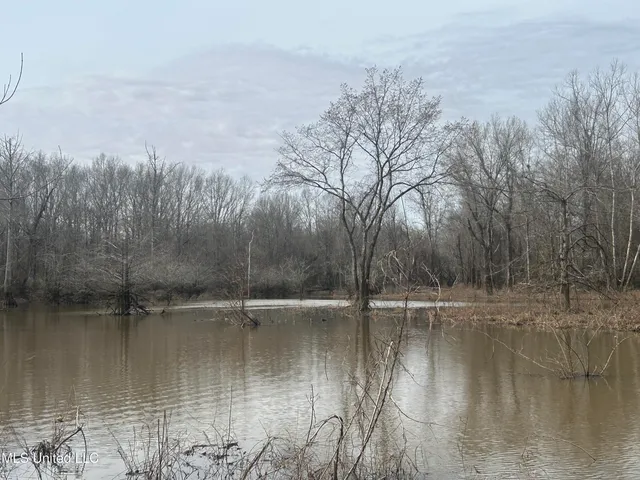 $2,820,000 | 3104 Booger Bottom Creek, West, MS 39192