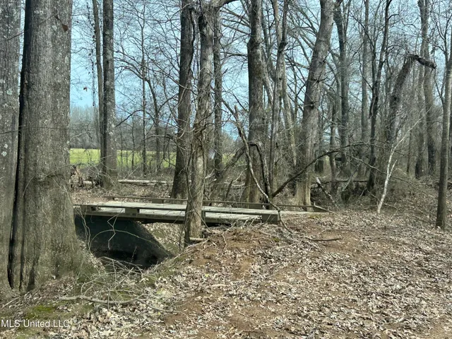 $2,820,000 | 3104 Booger Bottom Creek, West, MS 39192