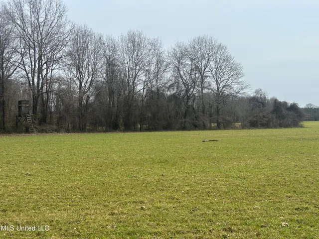 $2,820,000 | 3104 Booger Bottom Creek, West, MS 39192