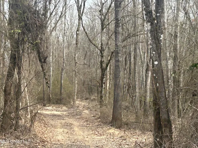 $2,820,000 | 3104 Booger Bottom Creek, West, MS 39192