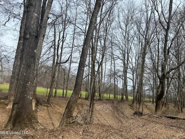 $2,820,000 | 3104 Booger Bottom Creek, West, MS 39192