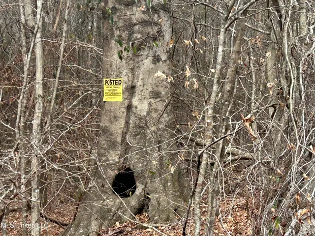 $2,820,000 | 3104 Booger Bottom Creek, West, MS 39192