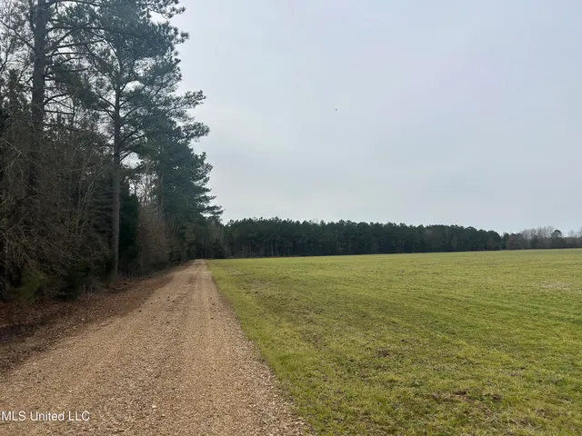$2,820,000 | 3104 Booger Bottom Creek, West, MS 39192