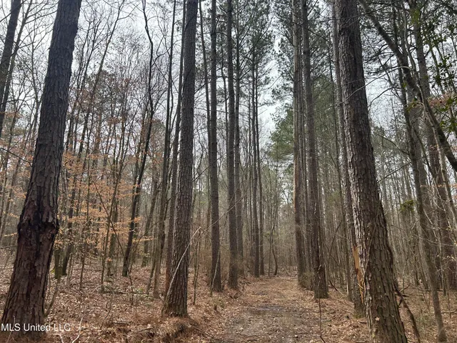 $2,820,000 | 3104 Booger Bottom Creek, West, MS 39192