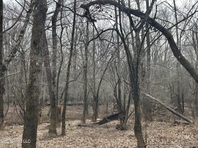 $2,820,000 | 3104 Booger Bottom Creek, West, MS 39192