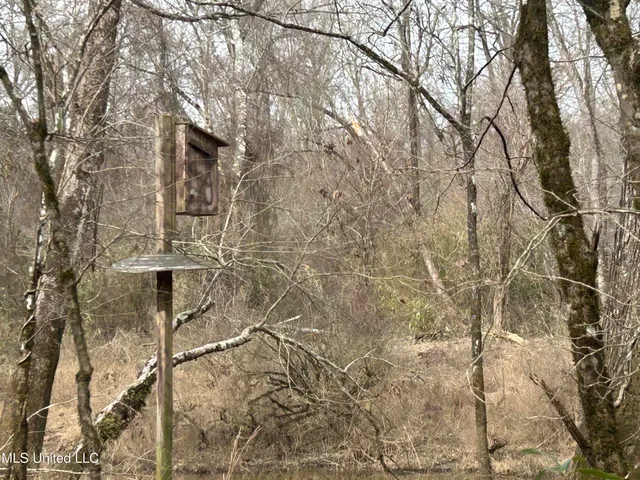 $2,820,000 | 3104 Booger Bottom Creek, West, MS 39192