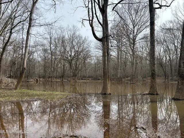 $2,820,000 | 3104 Booger Bottom Creek, West, MS 39192