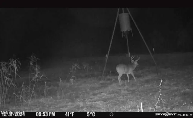 $2,820,000 | 3104 Booger Bottom Creek, West, MS 39192