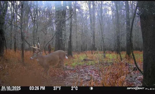 $2,820,000 | 3104 Booger Bottom Creek, West, MS 39192