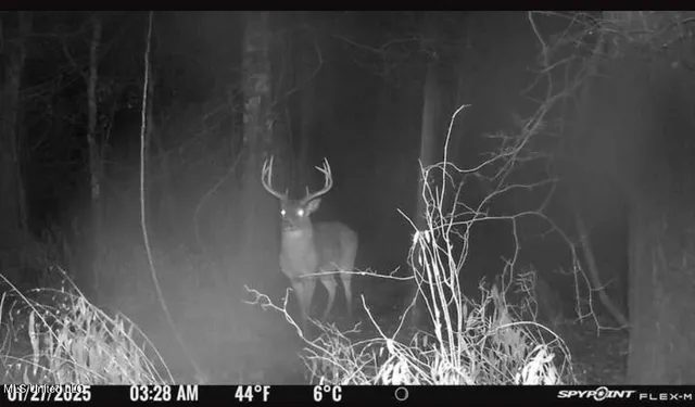 $2,820,000 | 3104 Booger Bottom Creek, West, MS 39192