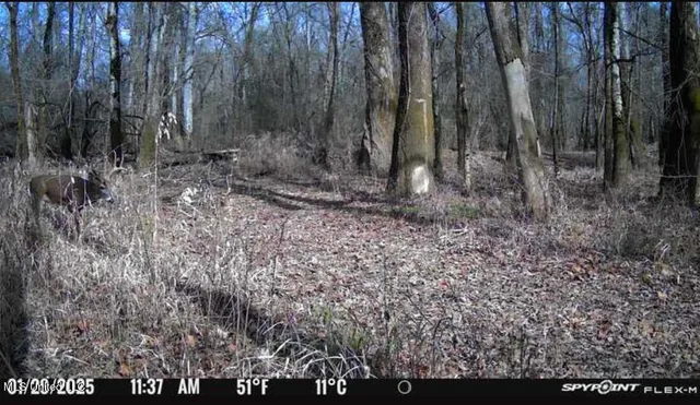 $2,820,000 | 3104 Booger Bottom Creek, West, MS 39192