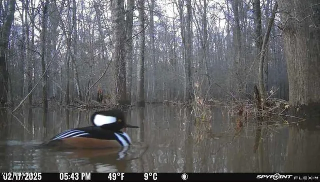 $2,820,000 | 3104 Booger Bottom Creek, West, MS 39192