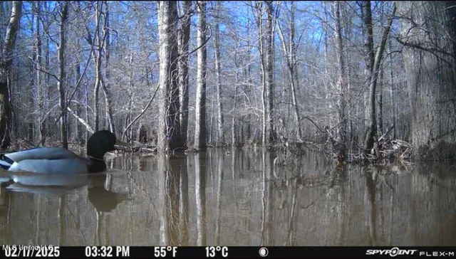 $2,820,000 | 3104 Booger Bottom Creek, West, MS 39192