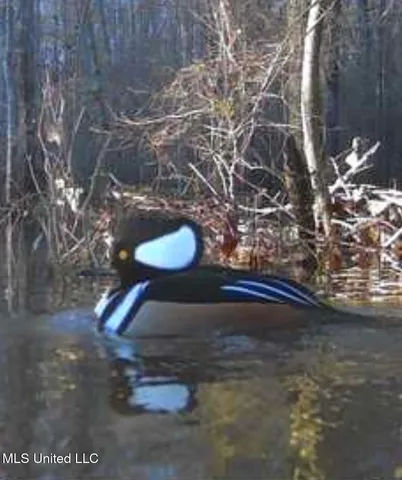 $2,820,000 | 3104 Booger Bottom Creek, West, MS 39192