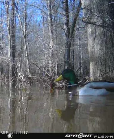 $2,820,000 | 3104 Booger Bottom Creek, West, MS 39192