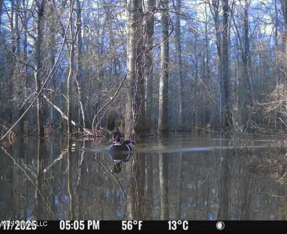 $2,820,000 | 3104 Booger Bottom Creek, West, MS 39192