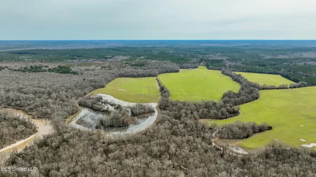 $2,820,000 | 3104 Booger Bottom Creek, West, MS 39192