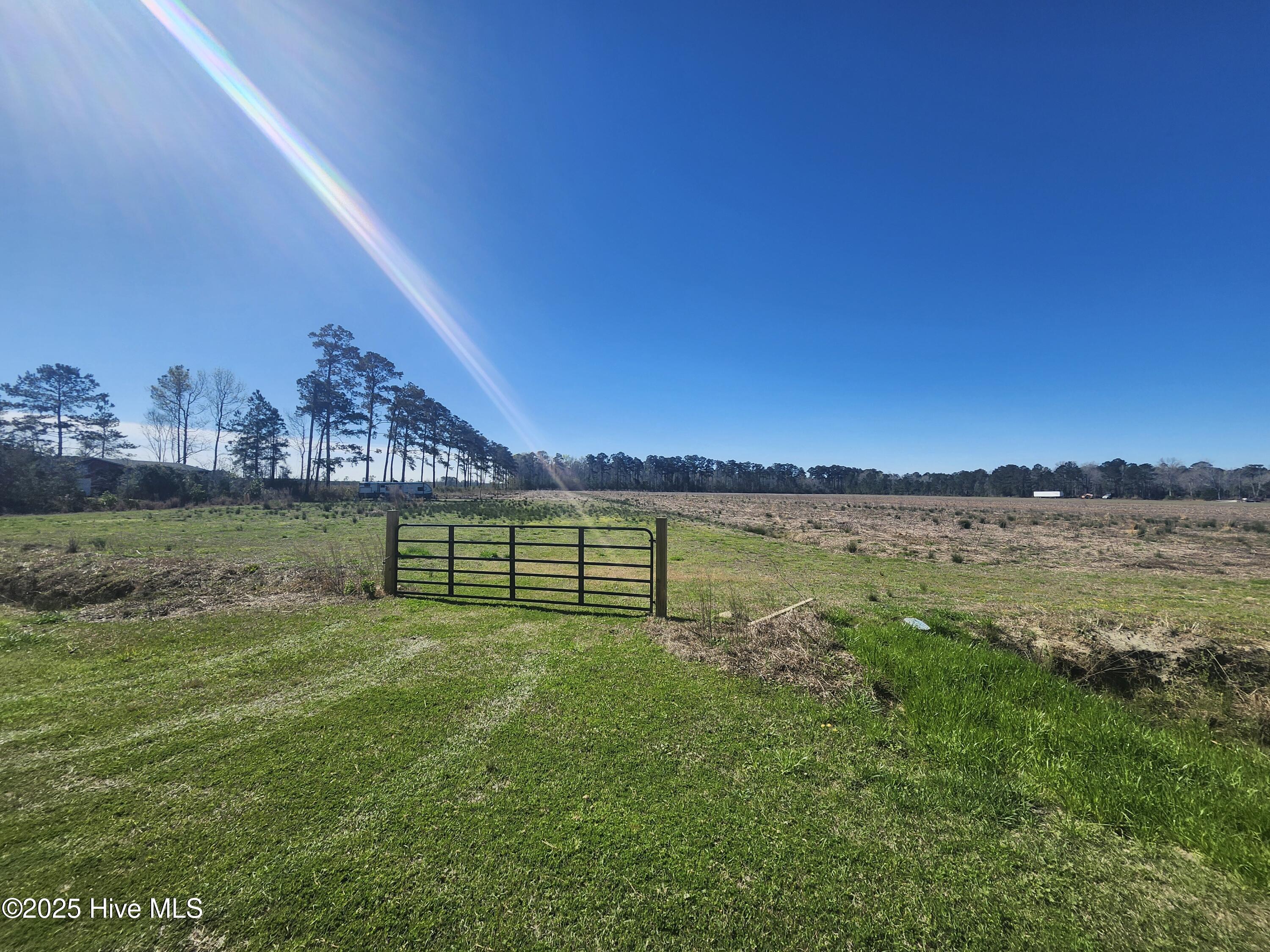 901 Murphy Farm Road Merritt, NC 28556 - Photo 1 of 15 beautiful land