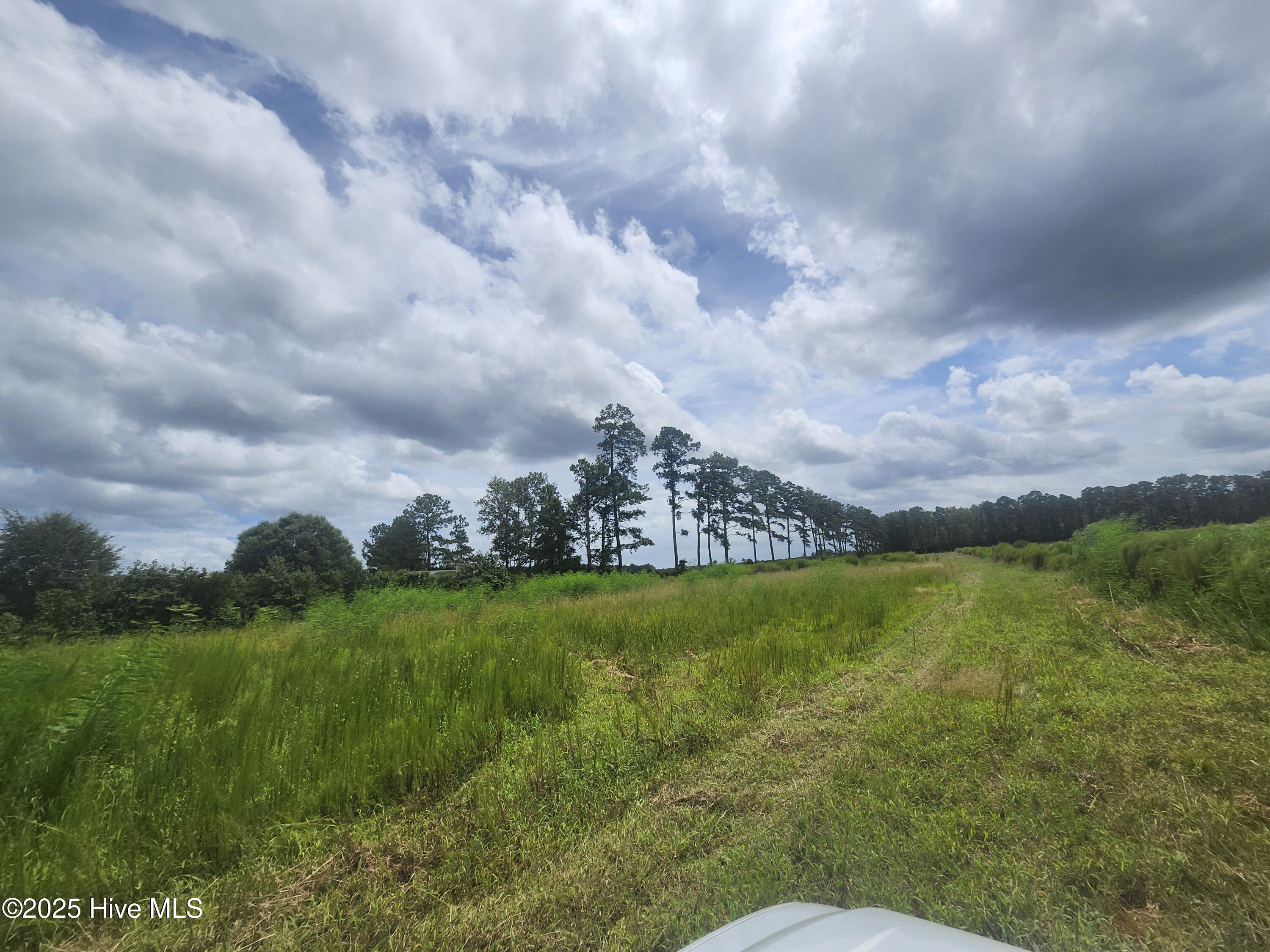 901 Murphy Farm Road Merritt, NC 28556 - Photo 13 of 15 Property recently cleared again