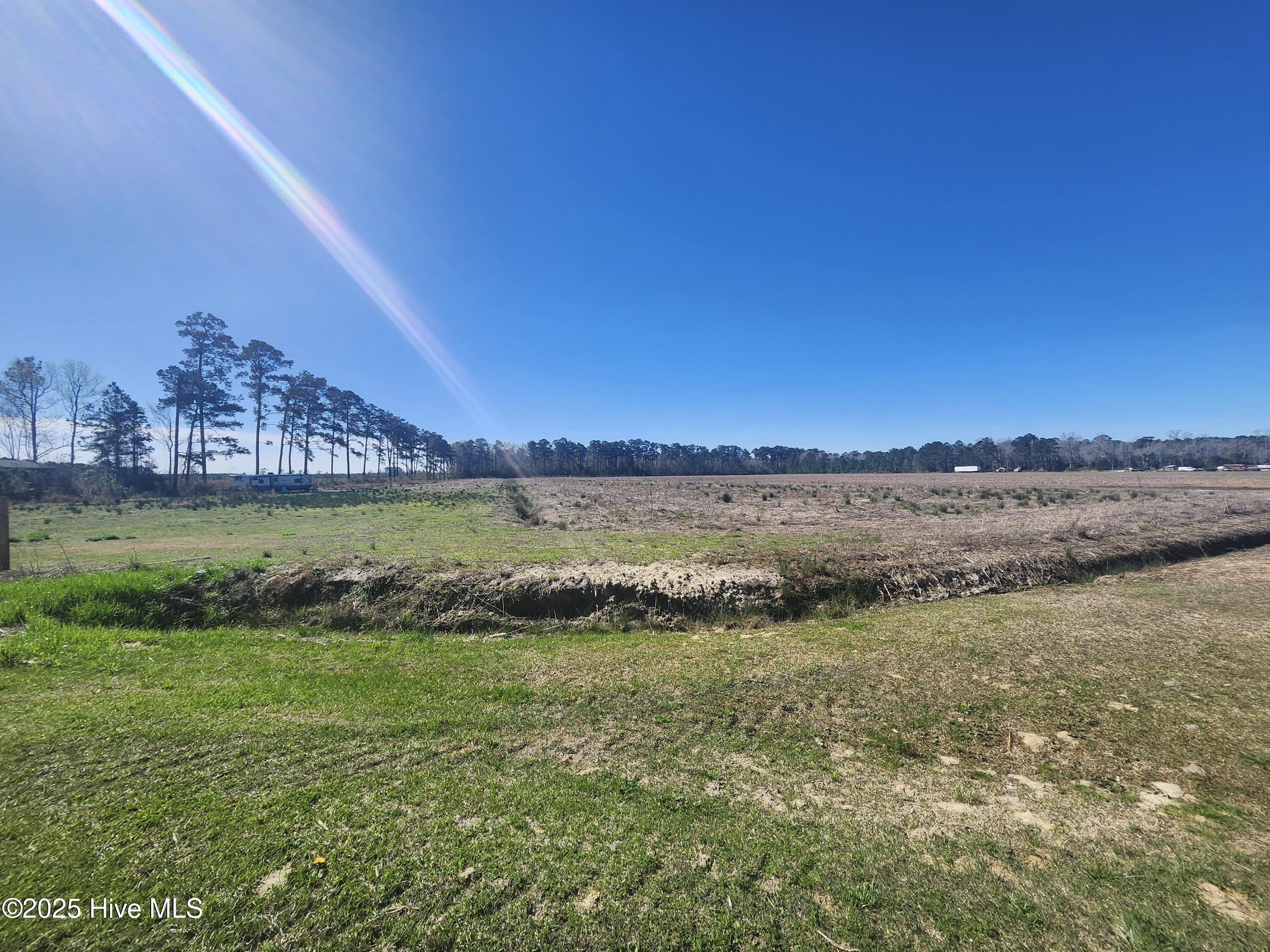 901 Murphy Farm Road Merritt, NC 28556 - Photo 2 of 15 property extends ack into the tree line