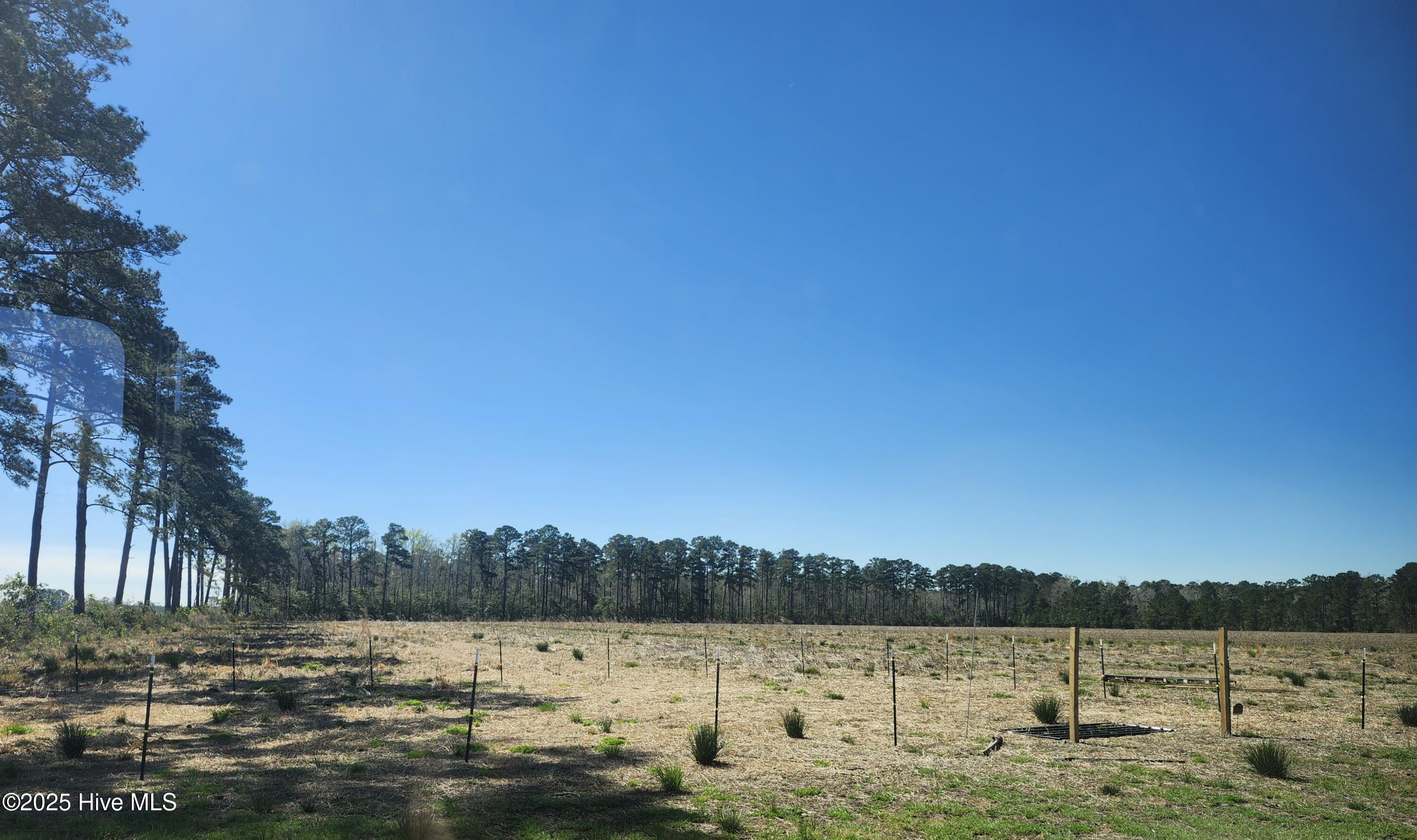 901 Murphy Farm Road Merritt, NC 28556 - Photo 3 of 15 small pen started/electric fencing