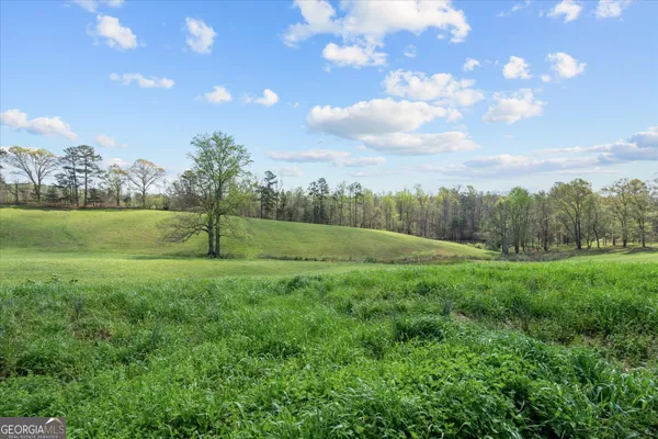 $795,000 | 1396 County Road 134, Woodland, AL 36280