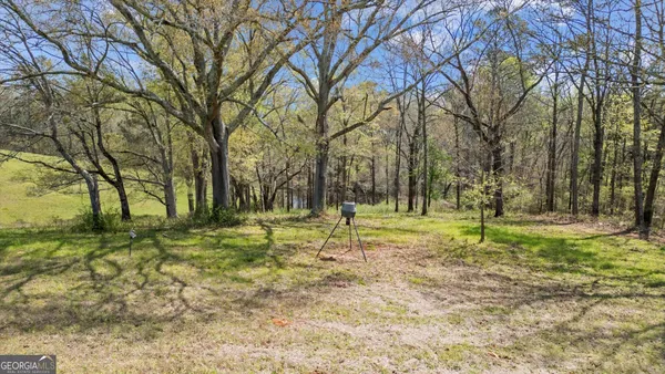 $795,000 | 1396 County Road 134, Woodland, AL 36280