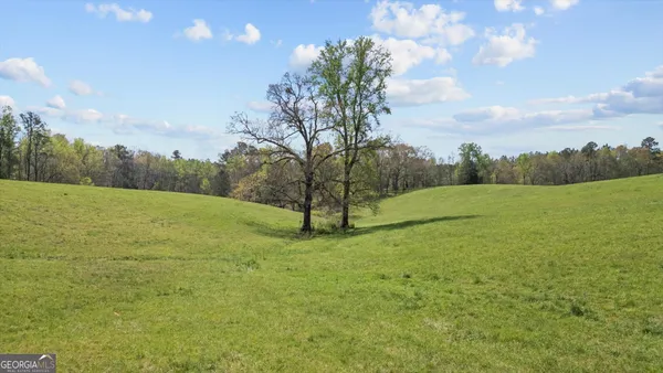 $795,000 | 1396 County Road 134, Woodland, AL 36280