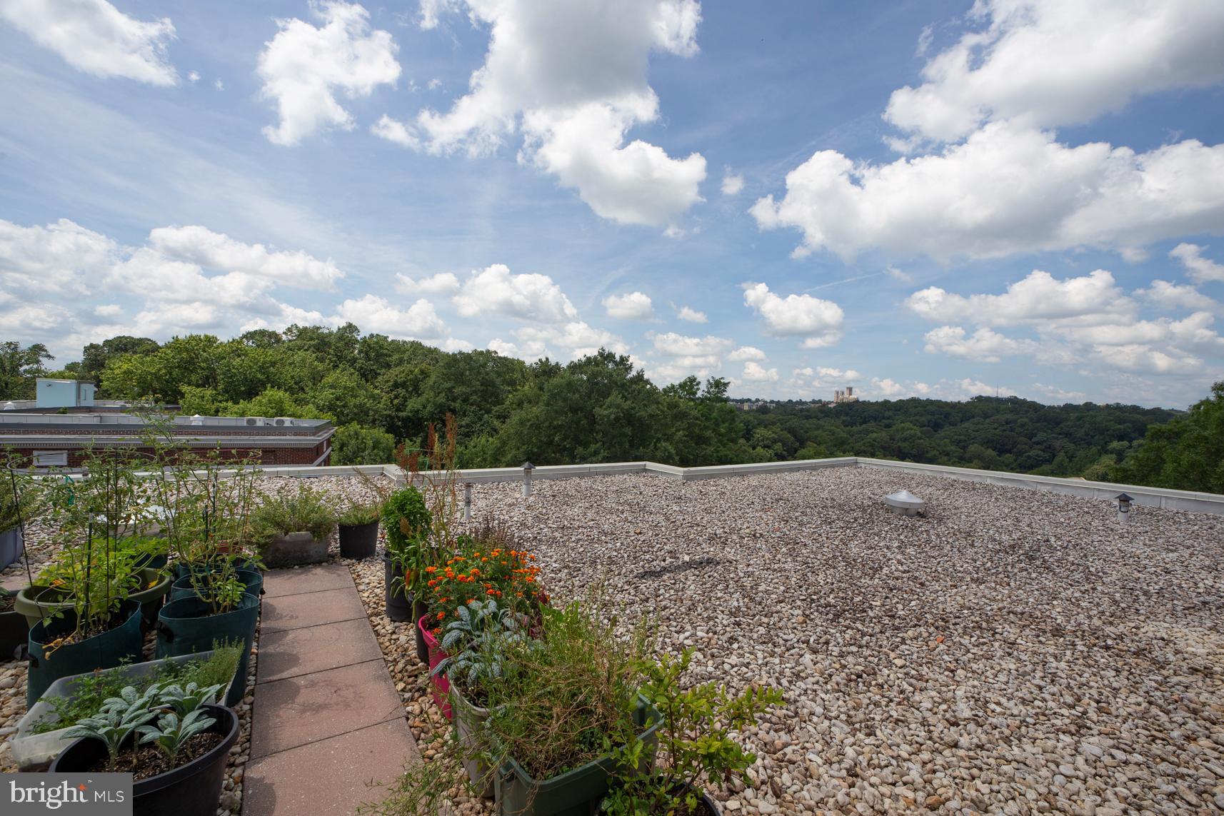 3025 Ontario Road Northwest, Unit 105 Washington, DC 20009 - Photo 25 of 35 Rooftop deck
